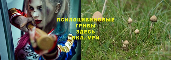 дмт Абинск