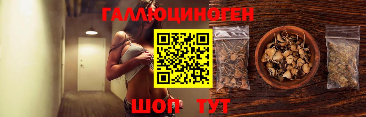 Сертолово  закладка  Вход с VPN  Псилоцибиновые грибы Cubensis 