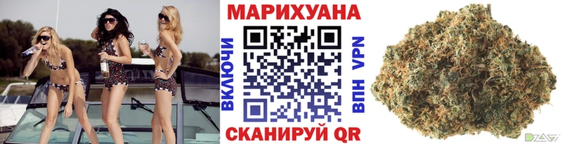 Марихуана OG Kush Сертолово